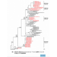 【インフルエンザ2014】山形県でも耐性ウイルス検出、国立感染症研究所 画像