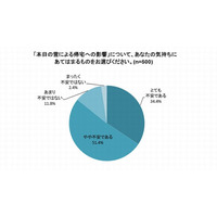 大雪の首都圏…9割が「不安」、対策とった企業や学校は5割 画像