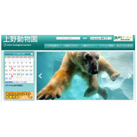 東京国立博物館など3館園連携「上野の山でクマめぐり」5/11開催 画像