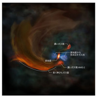 原始星と「星の卵」が同居、誕生現場を世界初観測…国立天文台 画像