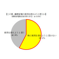 節電対策、レンジ使わず冷めてもおいしい料理といえば？ 画像