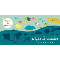 【夏休み】葛西臨海水族園、20時まで特別開園「Night of Wonder」8/13-16 画像