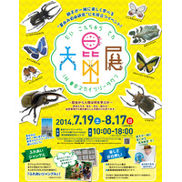 【夏休み】東京スカイツリータウン「大昆虫展」開催中、200匹のカブトムシと触れ合える 画像