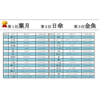 夏にまつわる珍しい名字、全国に10人しかいないのは「葉月」さん 画像