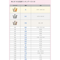 秋にまつわる名前ランキング1位は「楓」…赤ちゃんの名づけ 画像