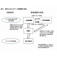 デング熱、解熱剤使用に注意…厚労省 画像