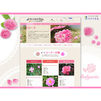 バラの魅力を伝えるサイト「ローズ図鑑」開設、バラの香りや栽培方法を紹介 画像