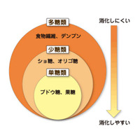 受験勉強と糖分、バナナに含まれる多様な糖分でエネルギーを長時間持続 画像