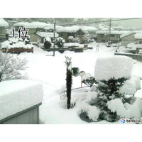 日本気象協会が選ぶお天気10大ニュース、1位は2月の記録的な大雪 画像