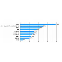 【年末年始】正月に親子で楽しむこと、1位は「かるた」 画像