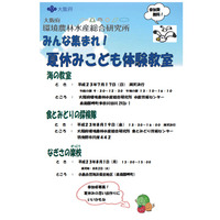 大阪府、小中学生と保護者対象「夏休みこども体験教室」参加者募集 画像