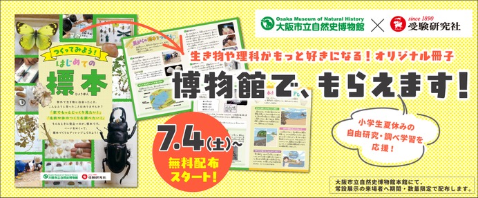 自由研究2026】植物・貝がら・昆虫の標本づくり冊子を無料配布…大阪