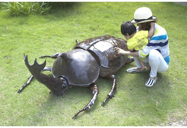 夏休み 巨大ヘラクレスも登場 スカイツリー 大昆虫展 8 25まで 8枚目の写真 画像 リセマム