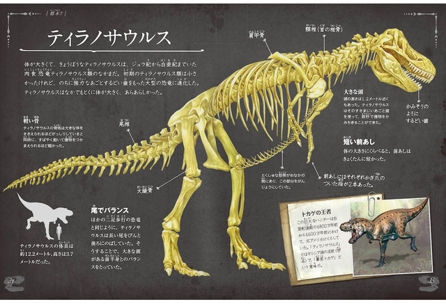 オールカラーで蘇る 骨の博物館iii 恐竜の骨 5 12発売 2枚目の写真 画像 リセマム