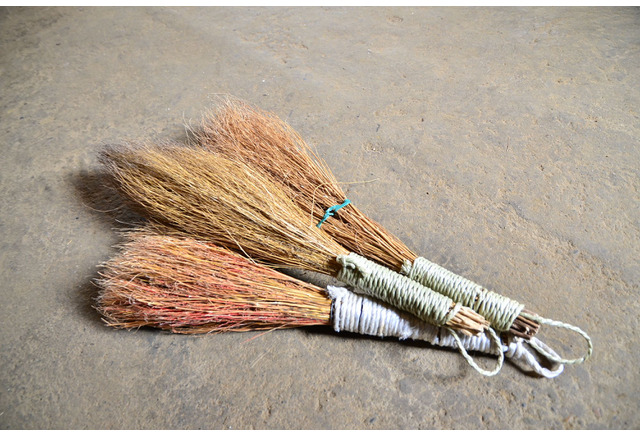 コキアでほうき作りに挑戦 参加者募集 国営ひたち海浜公園 2枚目の写真 画像 リセマム