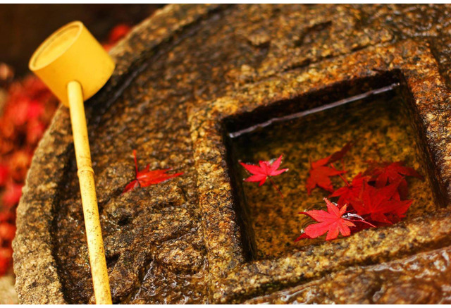 親子で学ぶ秋の 社会旅 京都編 中学入試頻出ポイントを指南 Ss 1馬屋原吉博先生 リセマム