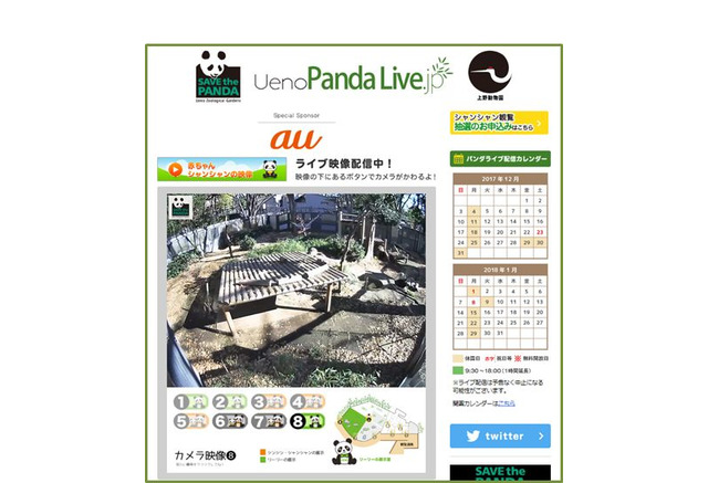 リアルタイムで シャンシャン を 上野パンダ舎ライブ配信開始 リセマム