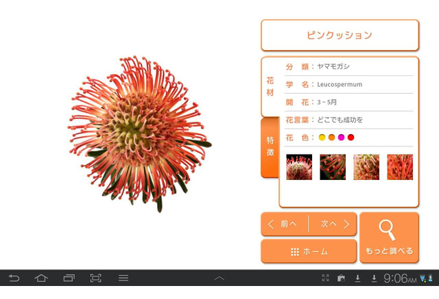 ドコモ限定androidアプリ みんなの花図鑑 第3弾無料公開 5枚目の写真 画像 リセマム