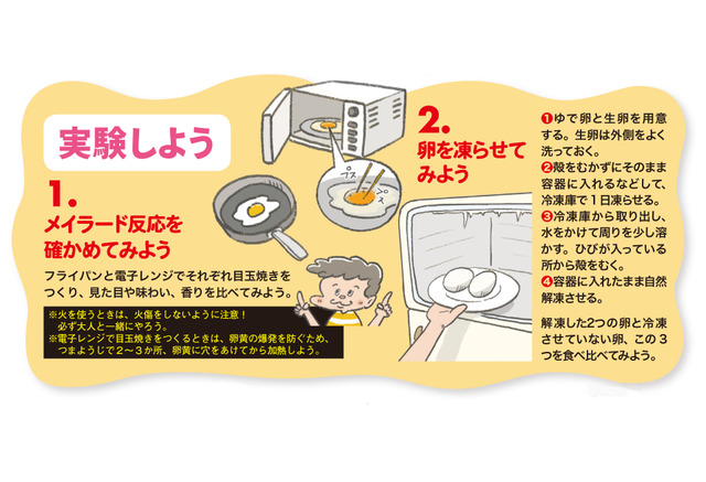 自由研究 料理の中に科学を探せ おうちでできる卵実験 8枚目の写真 画像 リセマム