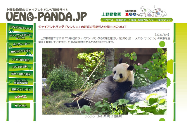 上野動物園パンダ シンシン 2頭出産 リセマム