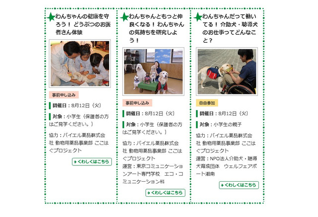 夏休み 小学生対象 動物のお医者さん体験や介助犬 聴導犬デモ 8 12 2枚目の写真 画像 リセマム