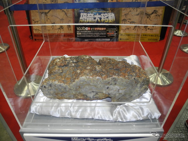 恐竜のウンコ”に子どもたちが大興奮…勝山市で化石発掘 | リセマム