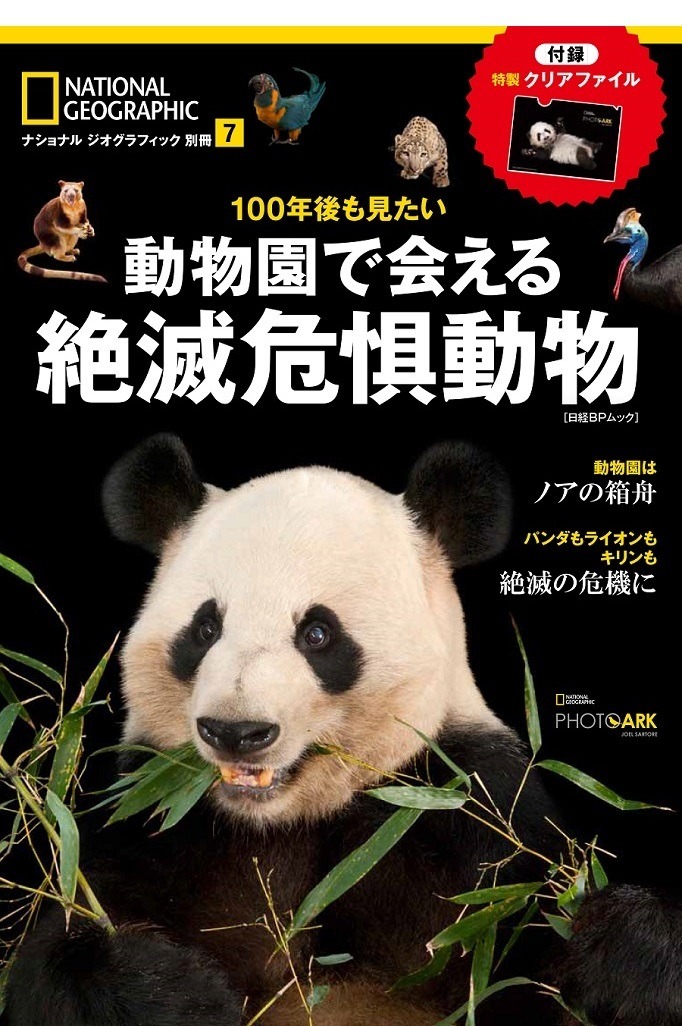 日本で見られる40種を紹介「動物園で会える絶滅危惧動物」 | リセマム