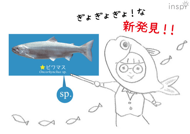 まるで図鑑、勉強にぴったりB5サイズ「滋賀のお魚ヨシノート」 | リセマム