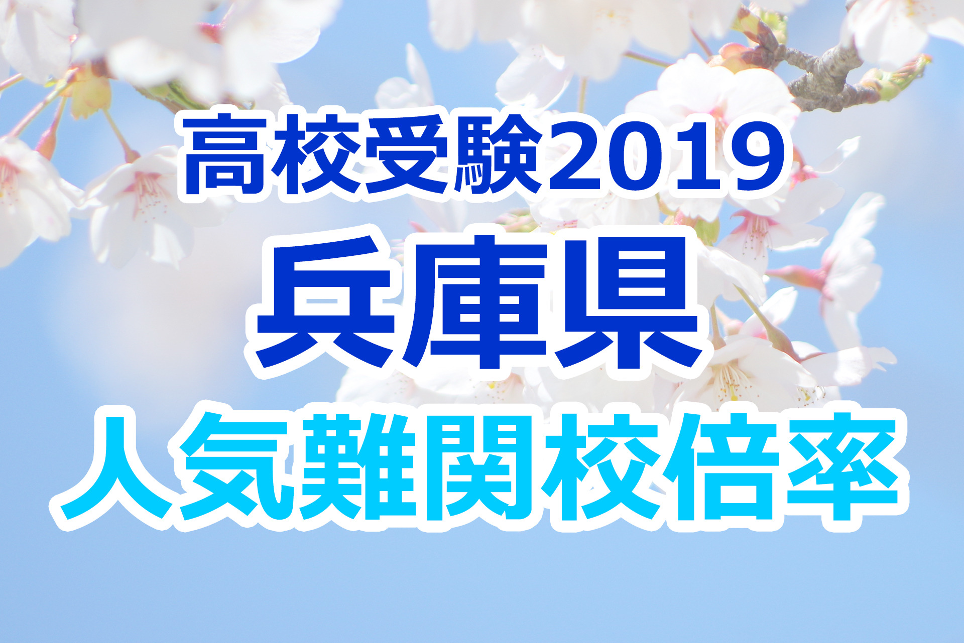 兵庫県公立高等学校 2019年度受験用 兵庫県公立高等学校 2019年度受験用 兵庫県公立高等学校 2025年度