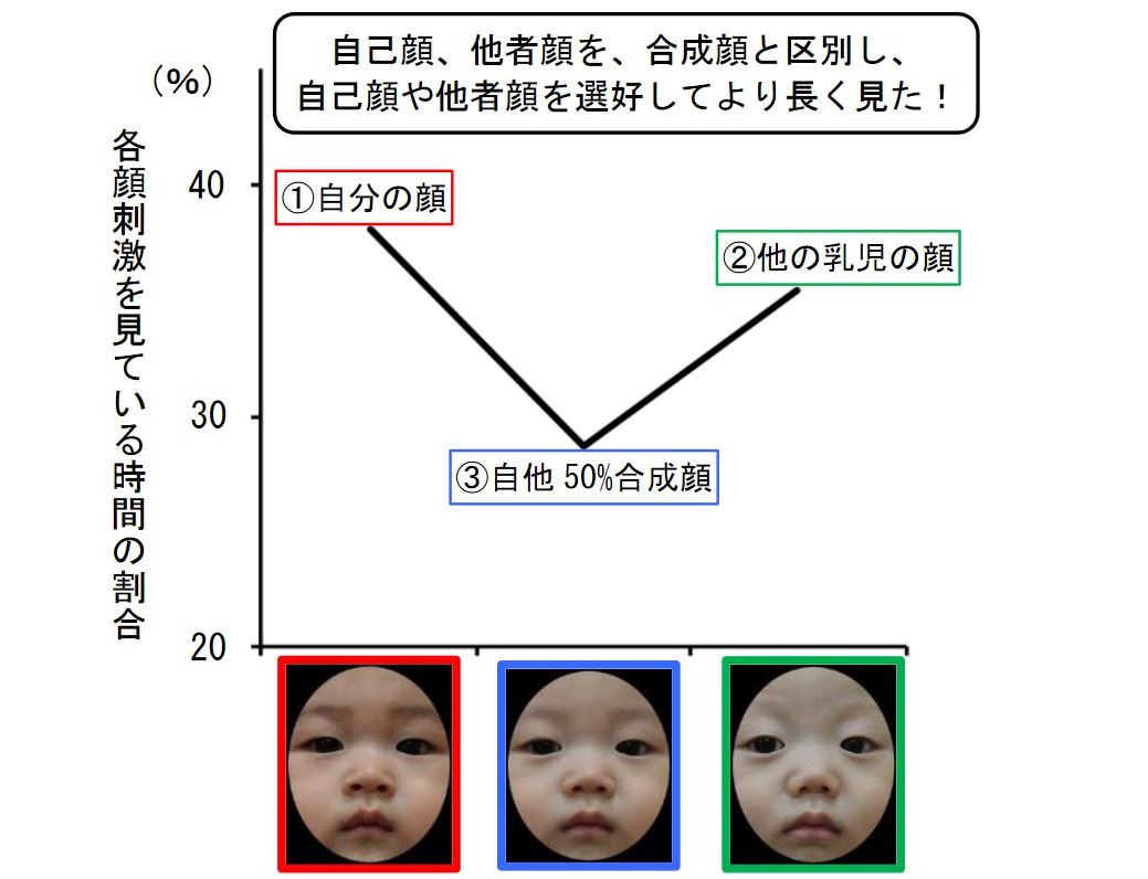 赤ちゃんも「自分の顔」を認識…九州大学が研究成果 | リセマム