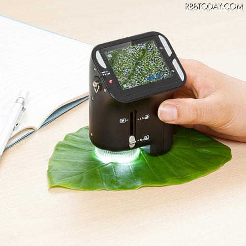 自由研究にも適したデジタル顕微鏡、植物や肌などの観察や撮影が可能