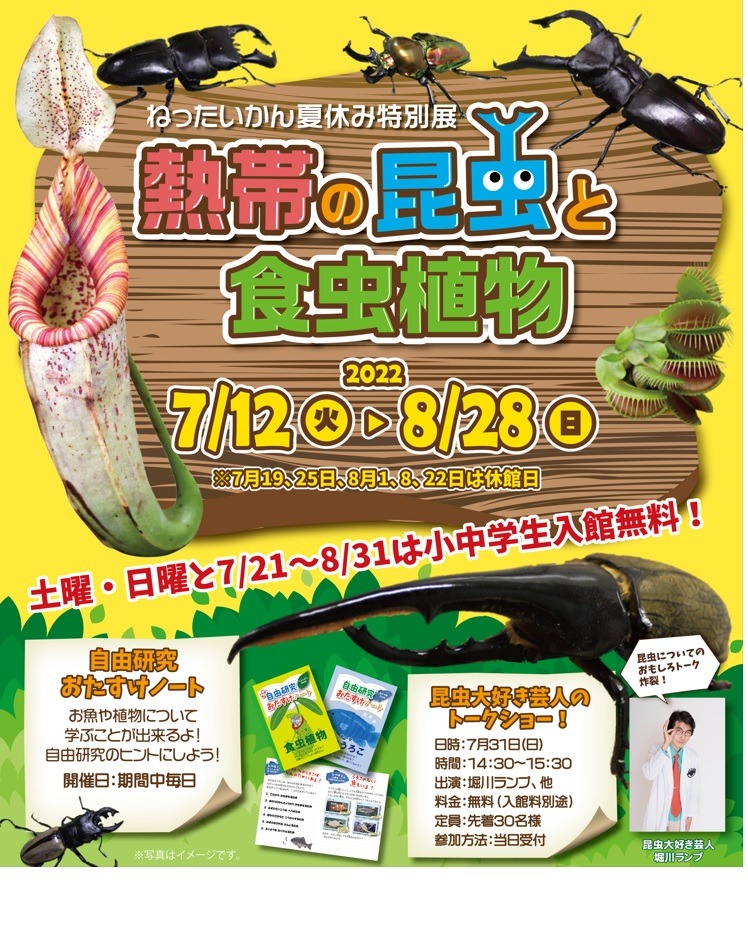 ロ*ス様 ラスト1台　600×300×300食虫植物・観葉植物・昆虫・爬虫類の飼 ラスト1台600×300×300食虫植物・観葉植物・昆虫・爬虫類の飼育