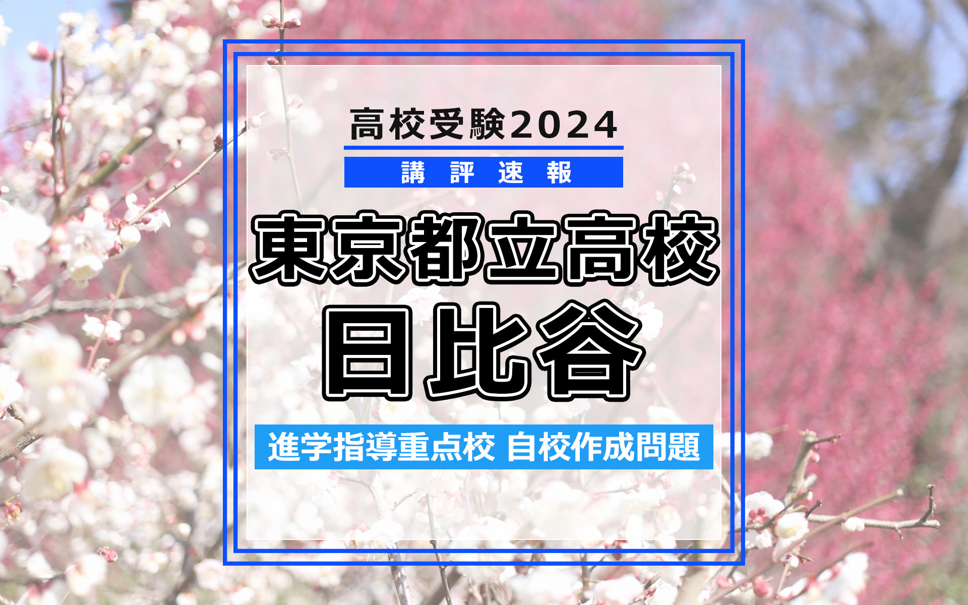 新教育研究会　2024年版 都立日比谷高校対策「英、数、国」 新教育研究会 2024年版 都立日比谷高校対策「英、数、国」 都立
