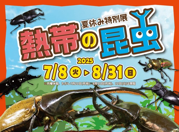 夏休み2025】世界最大級のカブトムシに会える…板橋の植物館で特別展