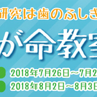 自由研究 マンガで解説 ドレッシング作りでわかる酸性とアルカリ性 小学生向け リセマム 自由研究 マンガで解説 ドレッシング作りでわかる酸性とアルカリ性 小学生向け リセマム