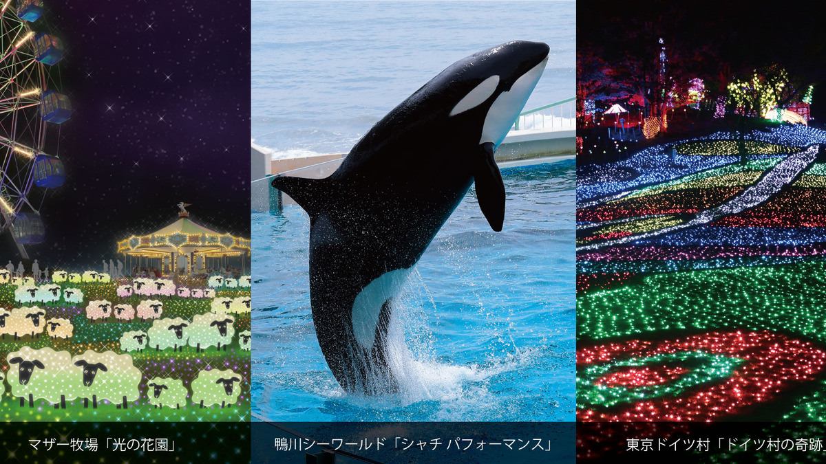 鴨シー 冬のイルミネーション共通入園プラン 11 1より リセマム