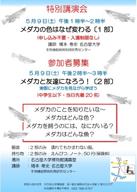 メダカに関する講演会やワークショップ 5 9名古屋大学博物館 1枚目の写真 画像 リセマム