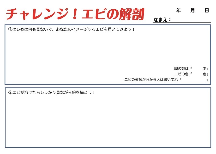 夏休み 動画を見ながらエビの解剖にチャレンジ おさかな解剖キット 6枚目の写真 画像 リセマム