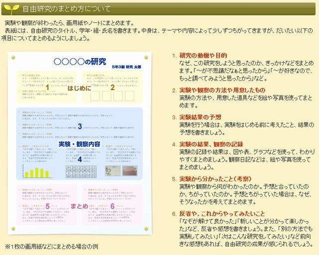 小中学生の自由研究に 自然観察ノート 5種を無料配布 3枚目の写真 画像 リセマム