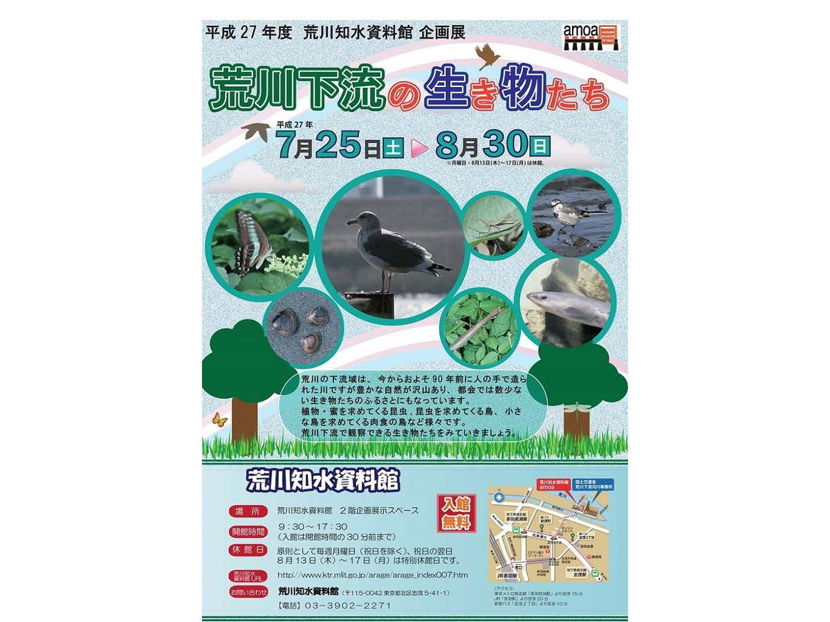 夏休み 荒川の生物を知ろう ミニ釣り堀も登場7 25 8 30 リセマム