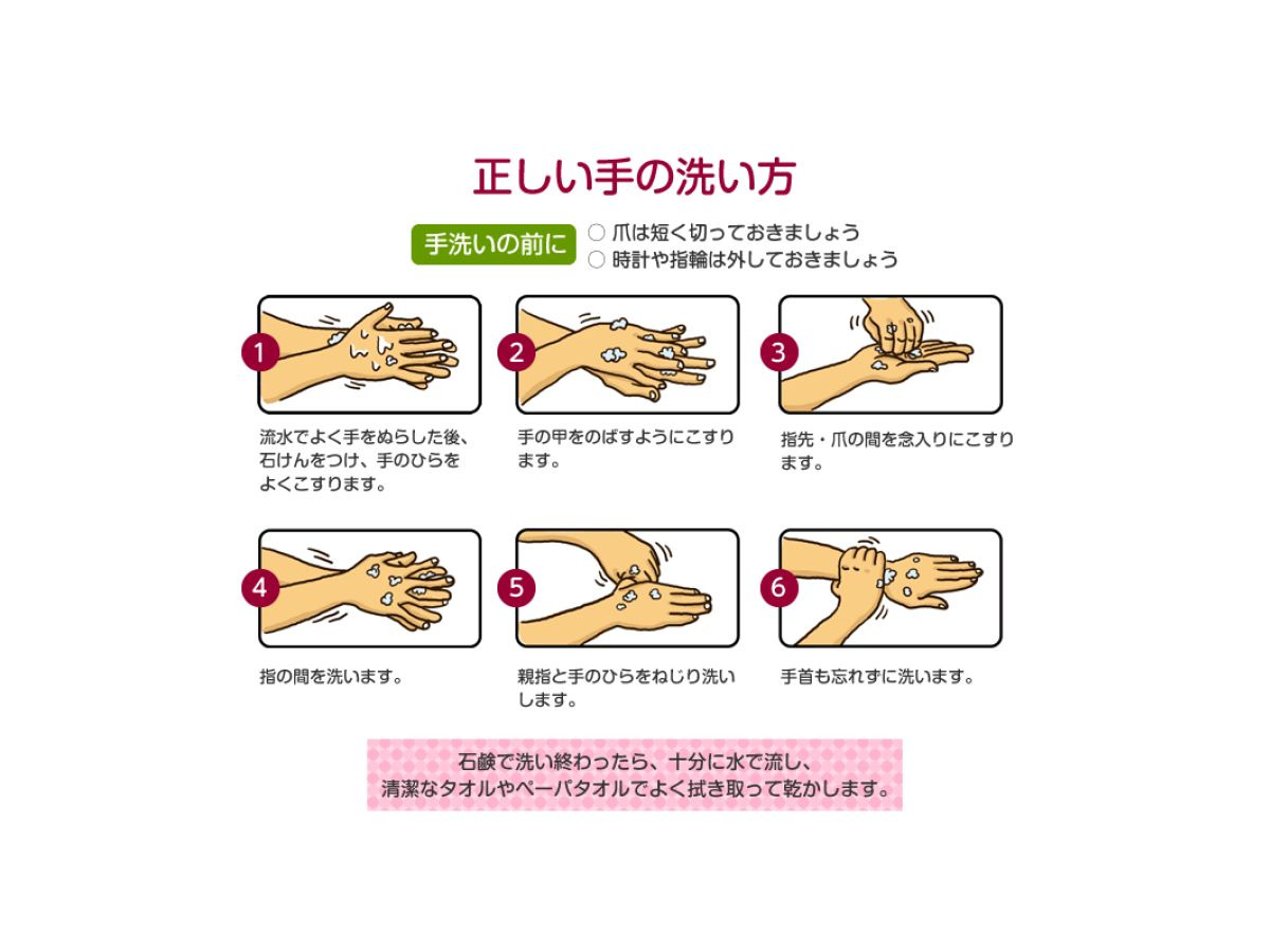食事前に手を洗う人は約半数 正しいノロウィルス予防を解説 リセマム