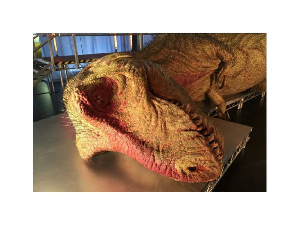 ナガシマスパーランドにナショジオ 恐竜大解剖 ティラノ標本 リセマム