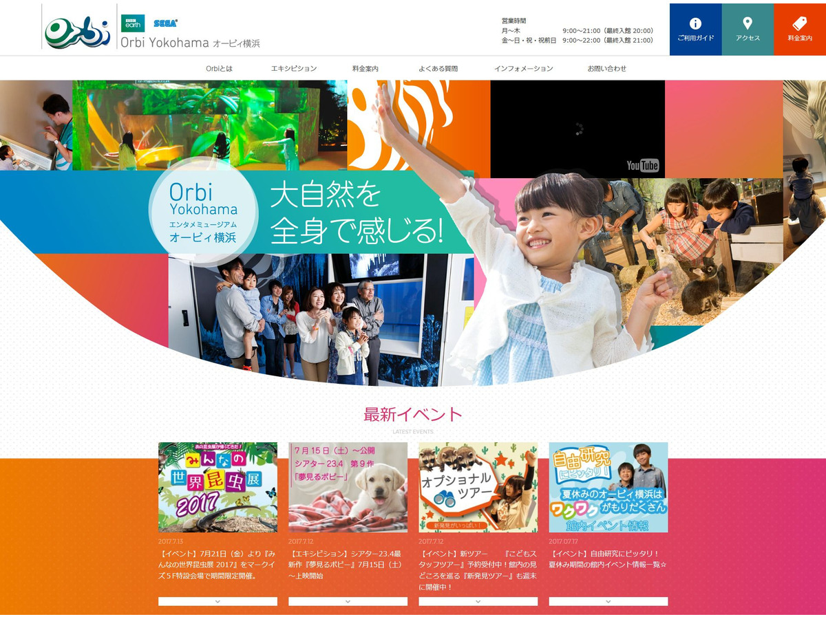 夏休み17 昆虫展やテラリウム 透明標本 職業体験も オービィ横浜 リセマム