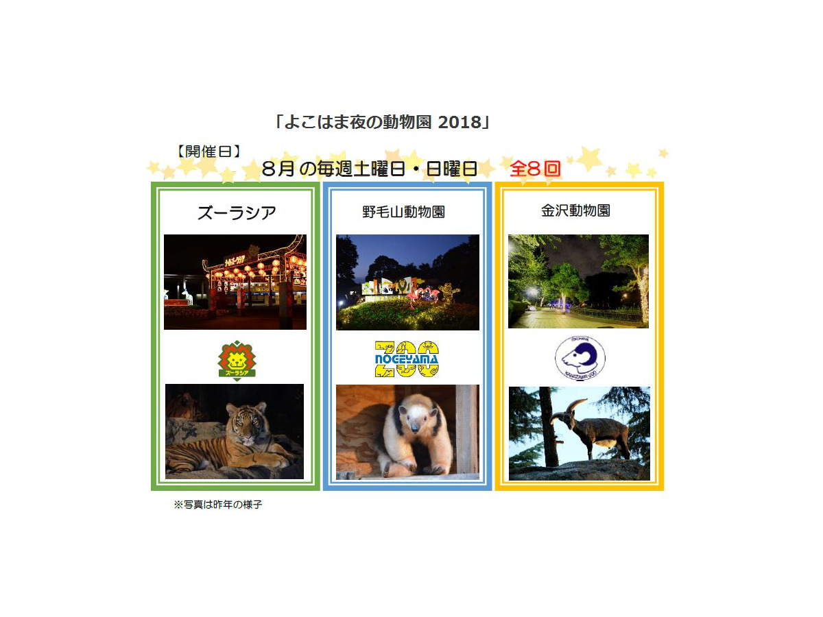 夏休み18 横浜 夜の動物園 ズーラシア 野毛山 金沢動物園の日程と内容 リセマム