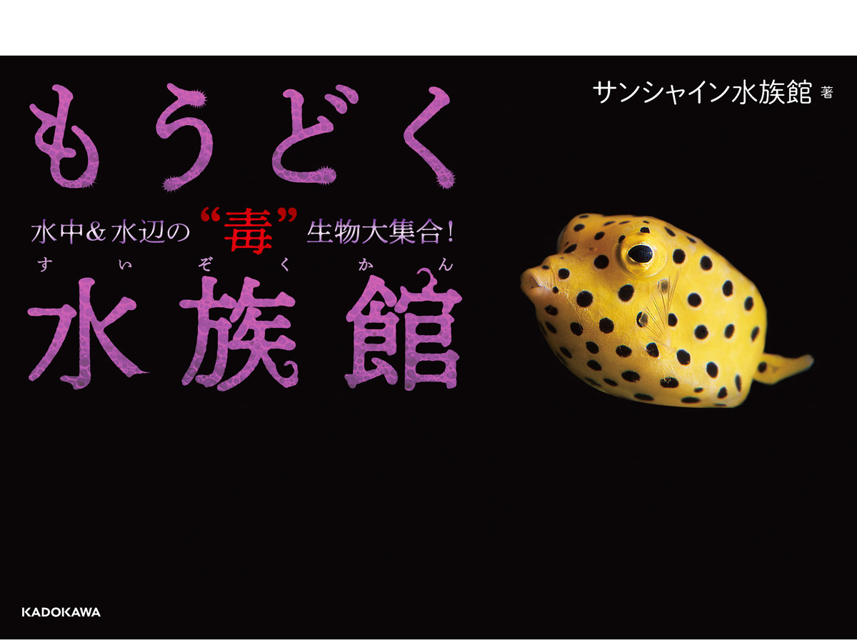 毒 母 日能研