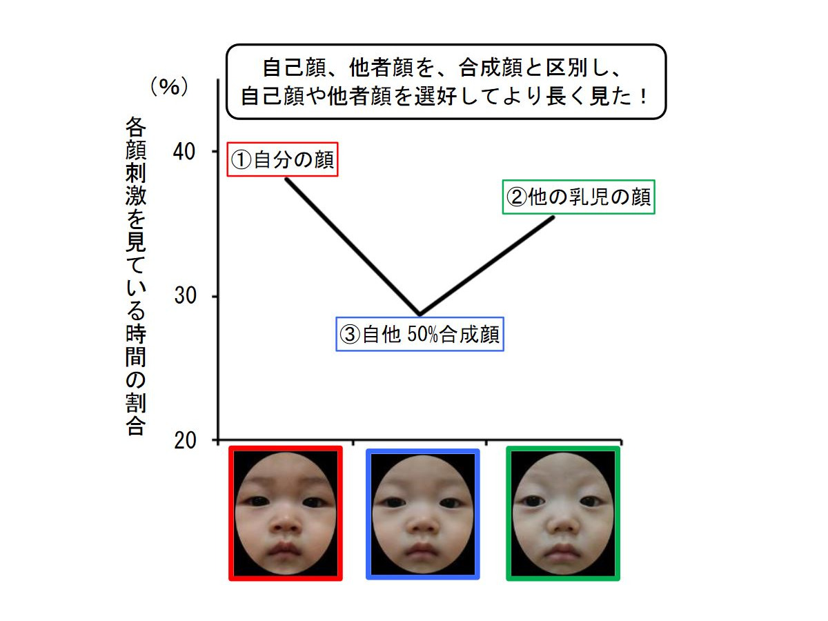赤ちゃんも 自分の顔 を認識 九州大学が研究成果 リセマム