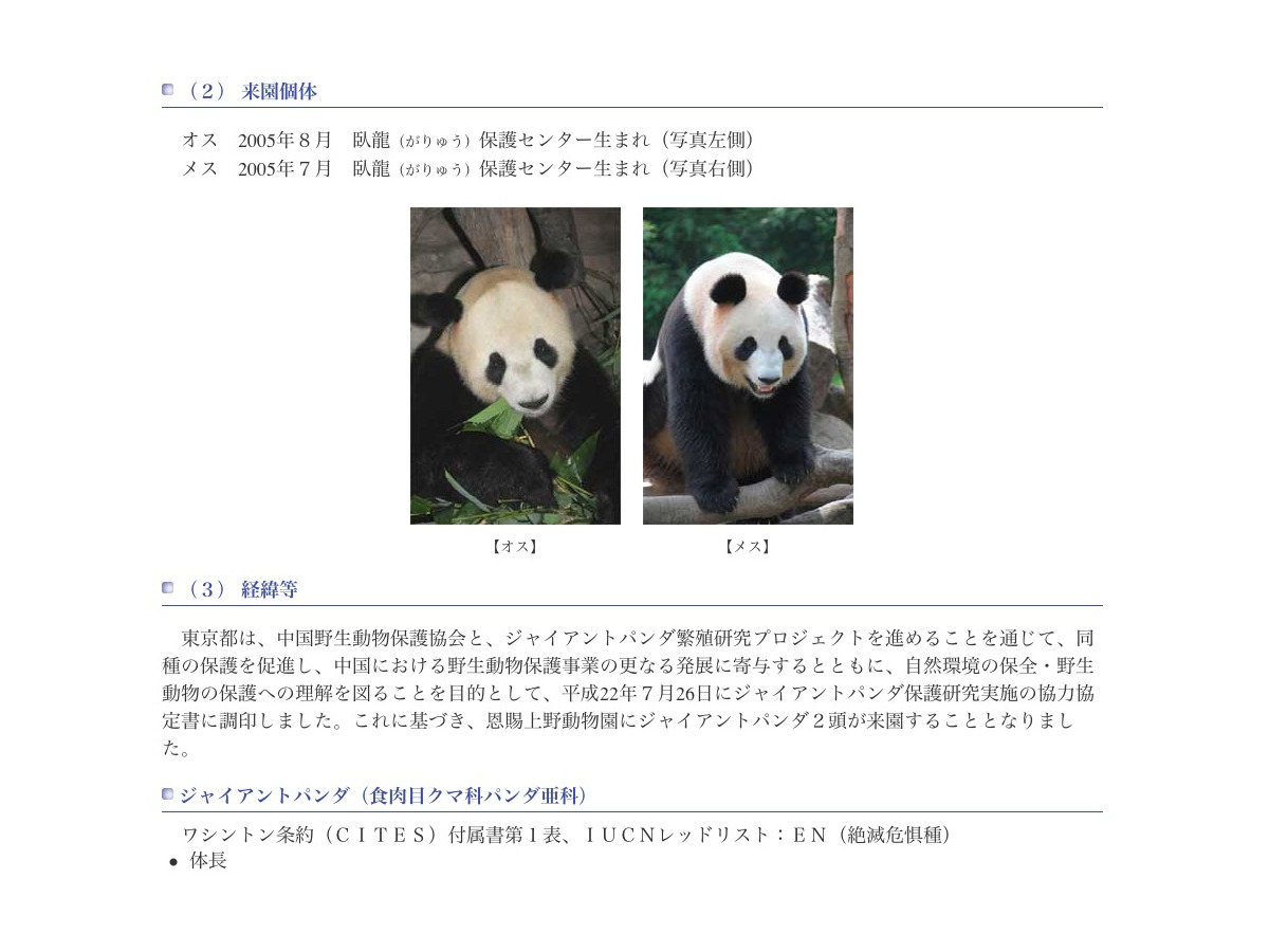 上野動物園 パンダの来園日決定 保護サポート基金募集 リセマム