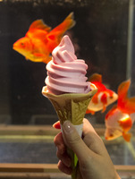 「お江戸の金魚ワンダーランド」にあわせ限定メニューも登場！　写真は金魚ソフトクリーム360円（税込）　何味か、予想してみてください