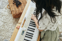 Casiotone 光ナビゲーションキーボードLK-325