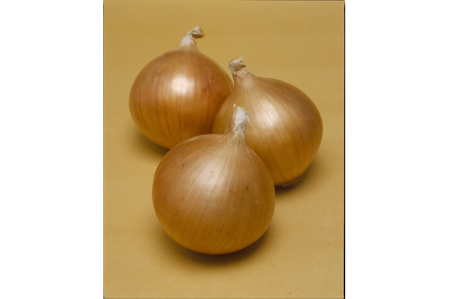 廃棄しがちな野菜、梅雨から夏を乗り切る保存のポイント…タキイ種苗 画像